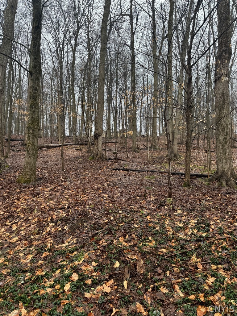 Nob Road Utica, NY 13501 - Photo 5 of 8