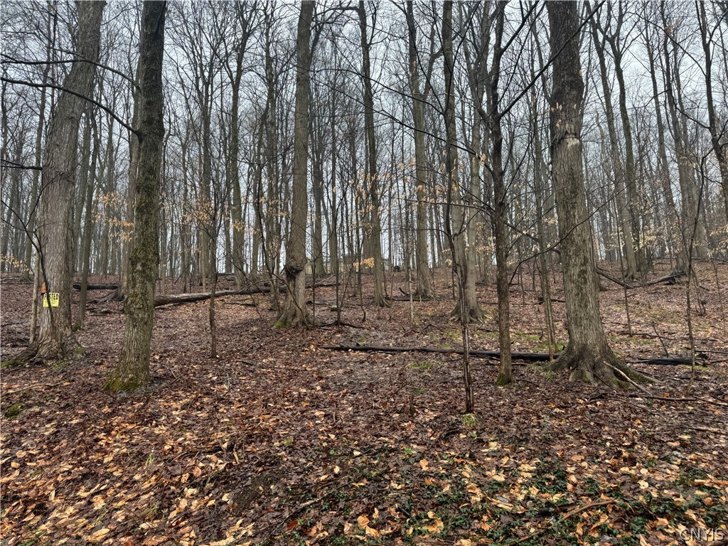 Nob Road Utica, NY 13501 - Photo 6 of 8