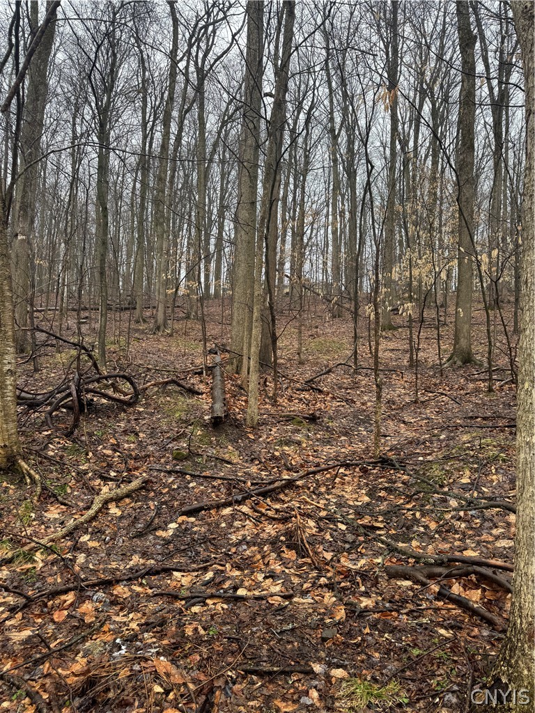 Nob Road Utica, NY 13501 - Photo 7 of 8