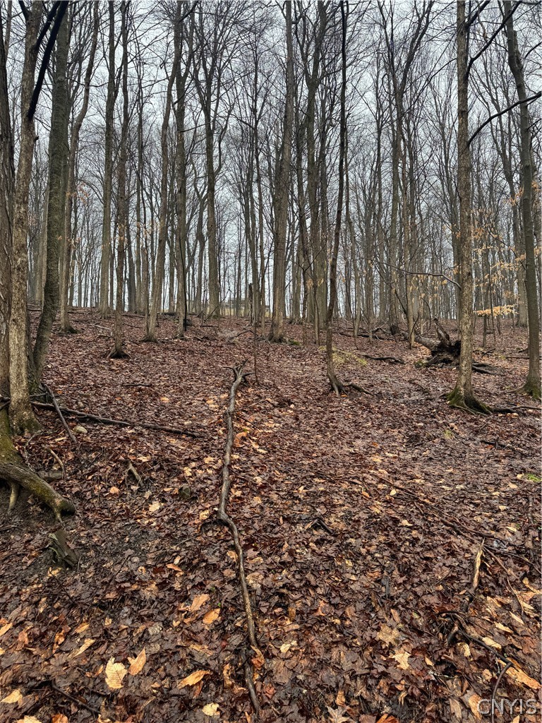 Nob Road Utica, NY 13501 - Photo 8 of 8