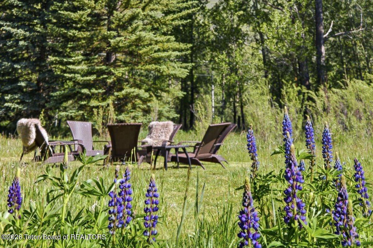 2450 North Fish Creek Road Wilson, WY 83014 - Photo 40 of 40 Mature landscaping