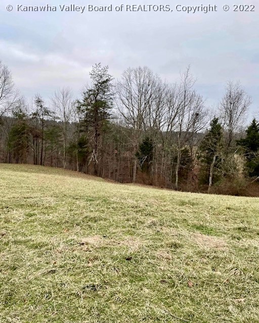 1417 Casto Road Evans, WV 25241 - Photo 24 of 25 Gallery Image 24