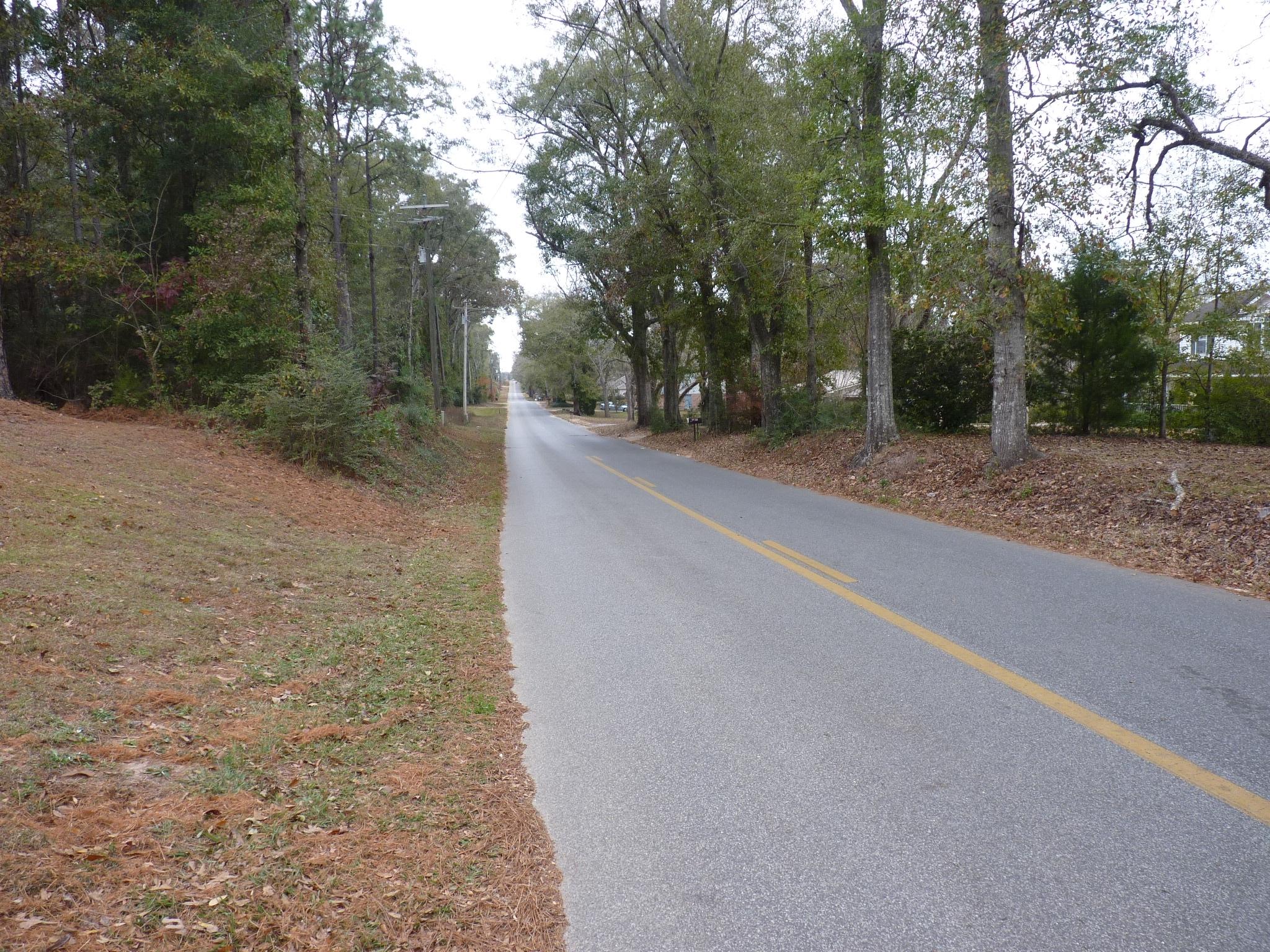 5814 Dairy Road Baker, FL 32531 - Photo 28 of 29 a view of a yard with tree s