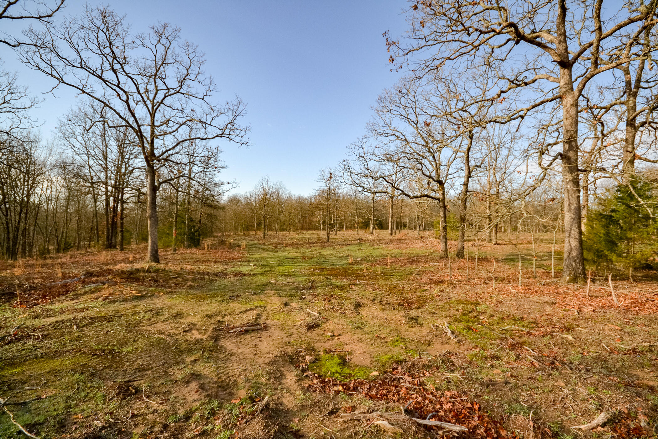 1000 Northeast 100th Road, Unit SOUTH TRACT Sheldon, MO 64784 - Photo 1 of 1 DSC_0653