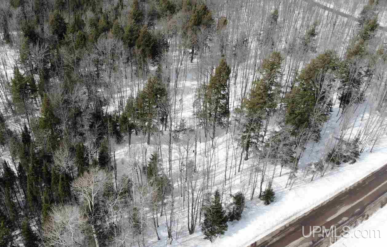 Tbd Dogpatch Road, Unit LOT J Lanse, MI 49946 - Photo 3 of 16