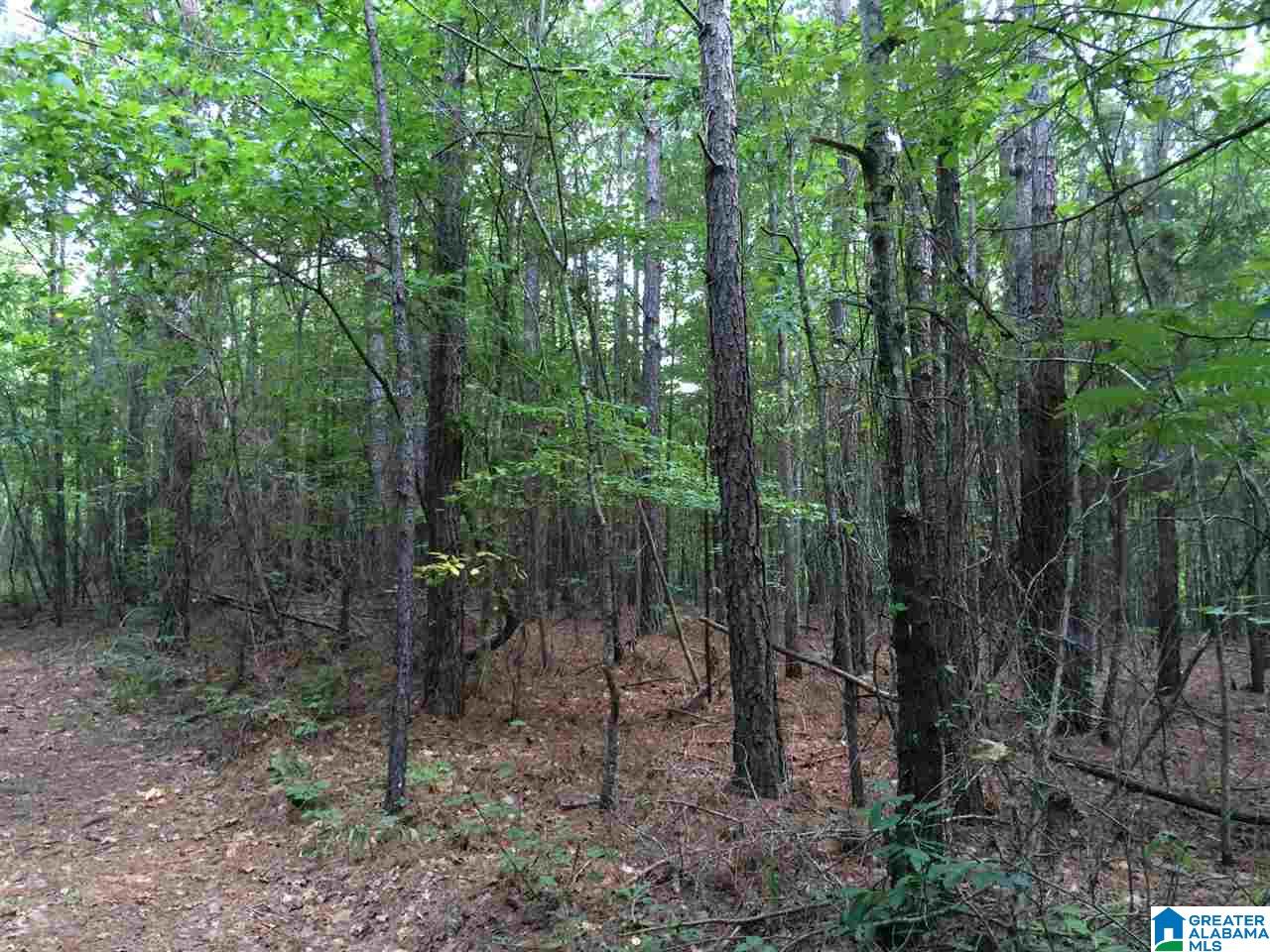Spunky Hollow Road, Unit 18 7 Oneonta, AL 35121 - Photo 24 of 46