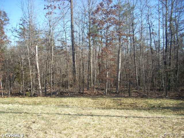 13 Jacoby Road Louisa, VA 23093 - Photo 1 of 1