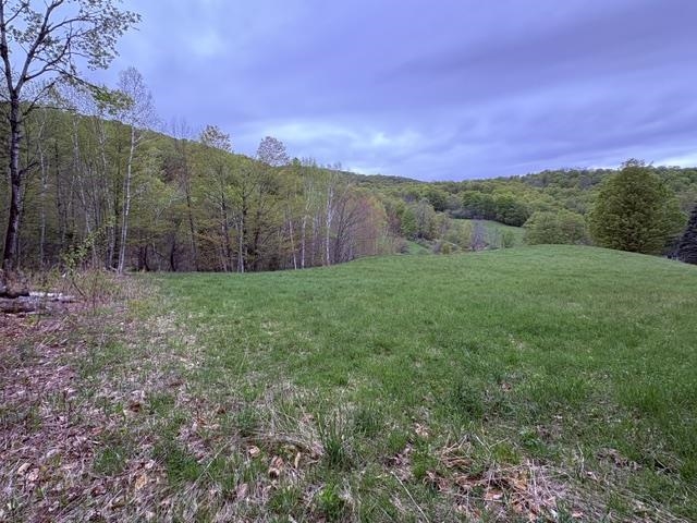 199 Arthur Morgan Road Woodstock, VT 05071 - Photo 1 of 15 Gallery Image 1