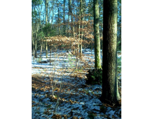 Lot 1 Birch Hill Road Raynham, MA 02767 - Photo 1 of 1 Gallery Image 1