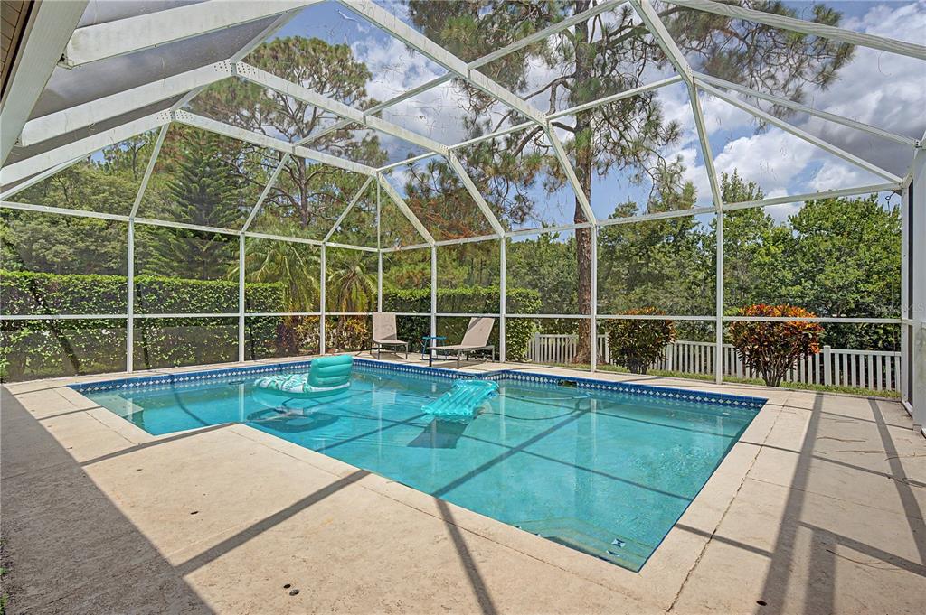 7201 Forestedge Court New Port Richey, FL 34655 - Photo 25 of 37