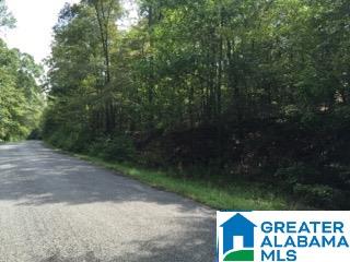 0 Mckesie Street Riverside, AL 35135 - Photo 1 of 1