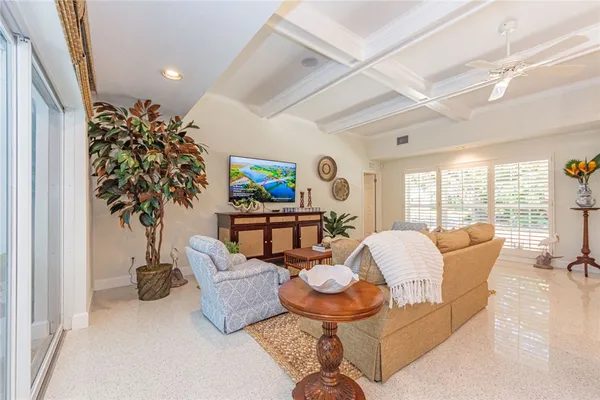 a living room with furniture and a potted plant