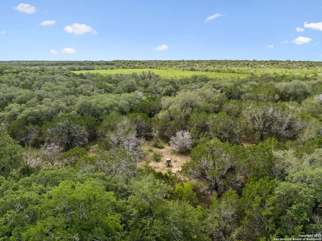 a view of an ocean from a yard