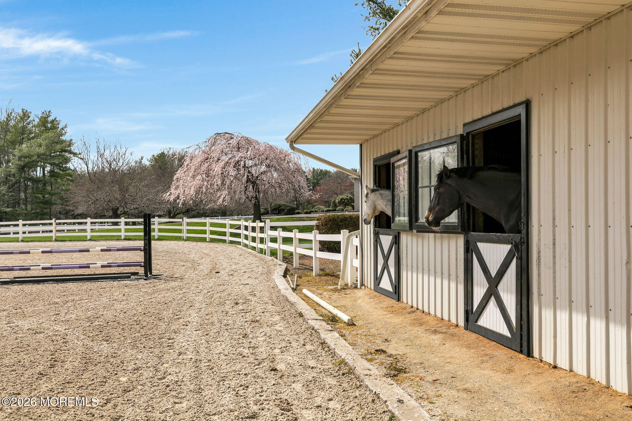 10 Paddock Lane Colts Neck, NJ 07722 - Photo 13 of 55 a view of a backyard