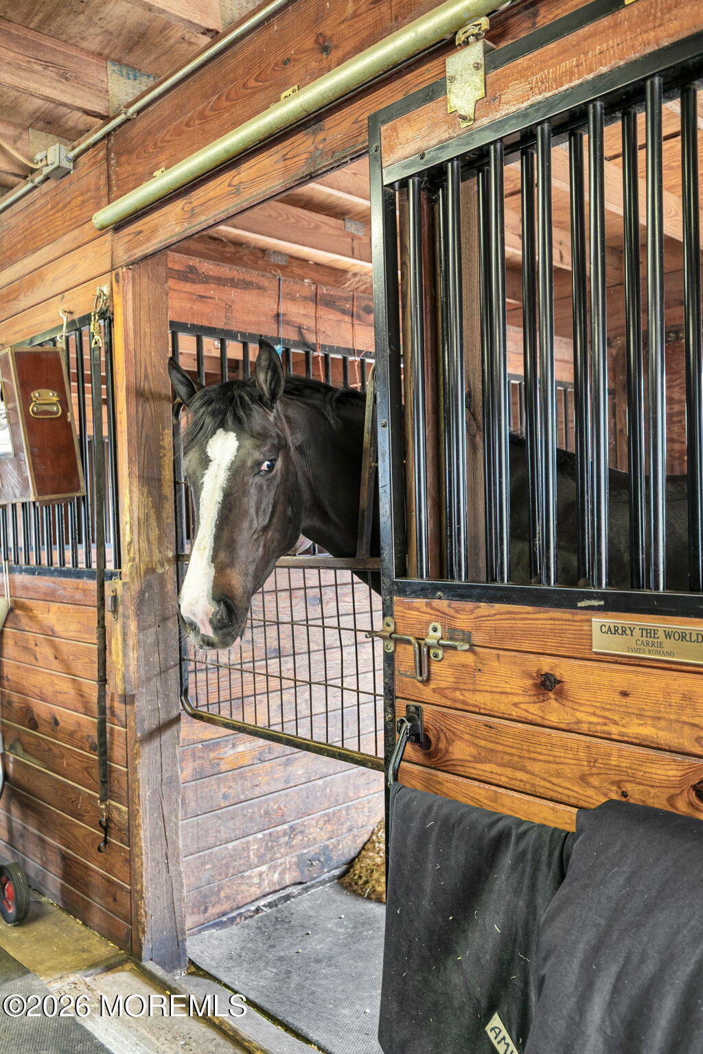 10 Paddock Lane Colts Neck, NJ 07722 - Photo 16 of 55 34-web-or-mls-4M3A2006