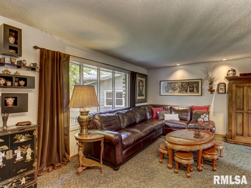 29 Lucerne Drive Springfield, IL 62707 - Photo 32 of 34
