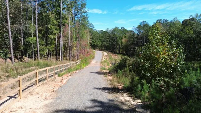 a view of a road with a yard
