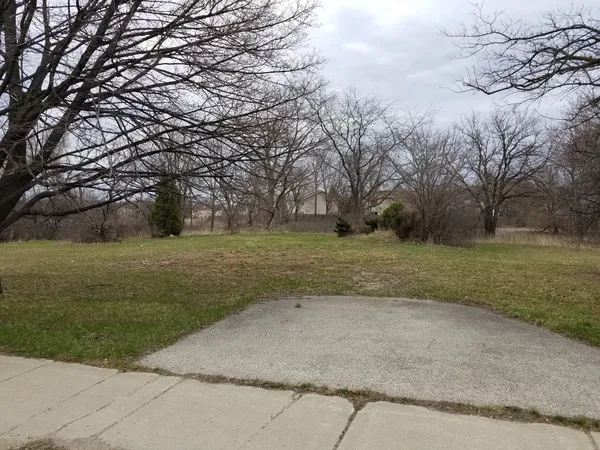 a view of a tree in front of a house