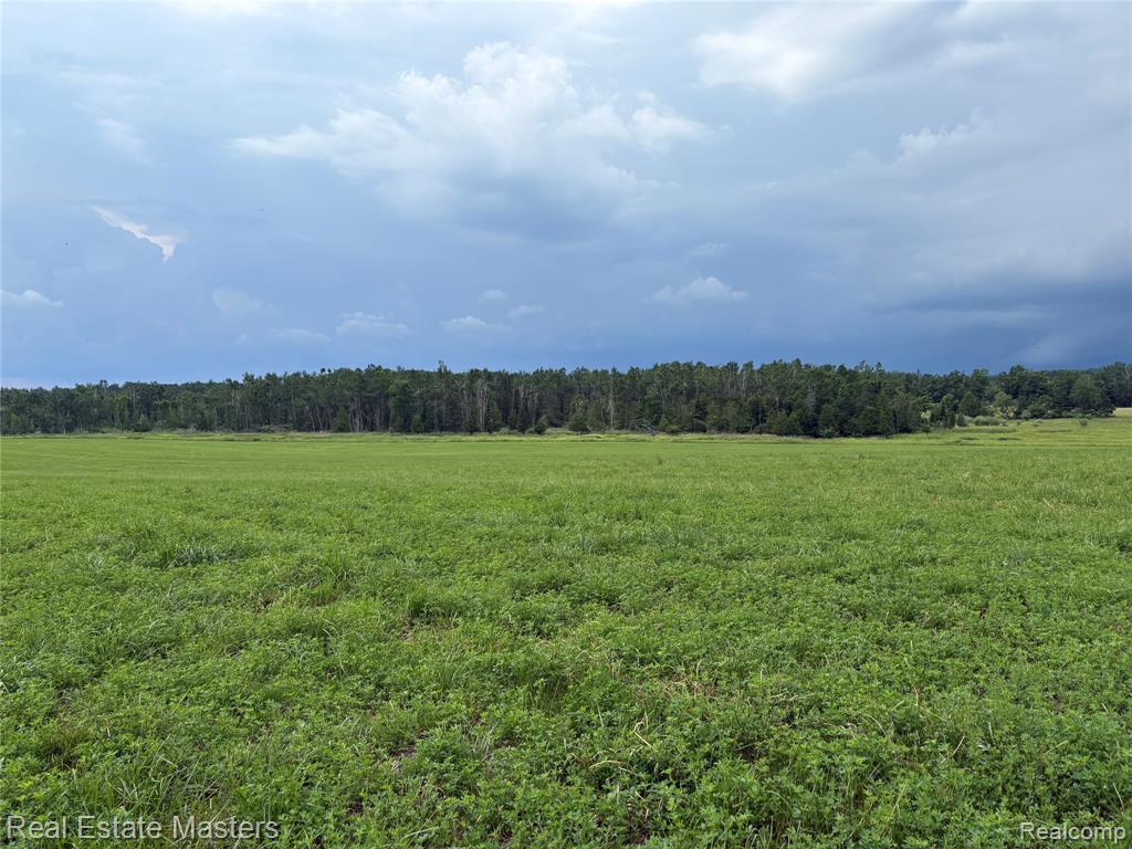 300 East Hubert Road Hubbard Lake, MI 49747 - Photo 15 of 17