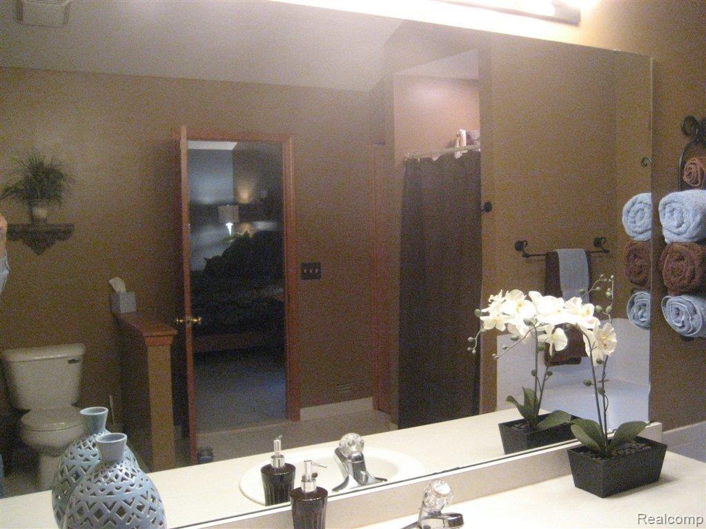 3013 Brewer Road Howell, MI 48855 - Photo 15 of 21 Master Vanity and Mirror.JPG