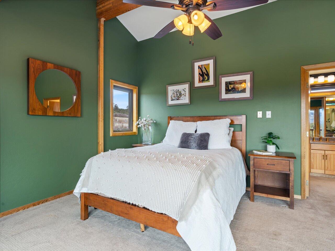 140 St Jerome Road Ridgway, CO 81432 - Photo 16 of 31 19-20240323-DSC05472