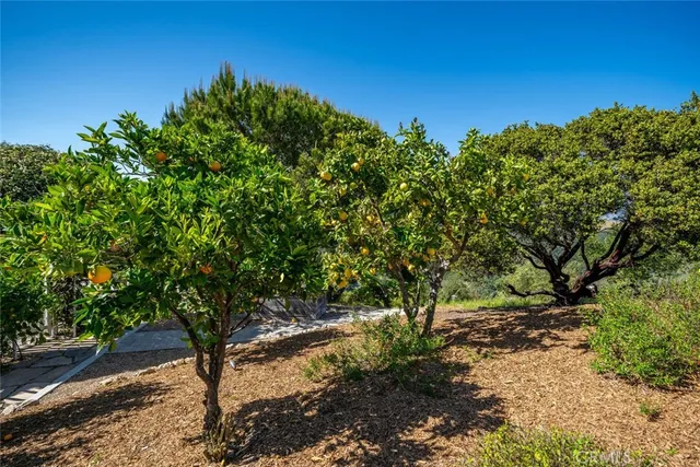 $2,950,000 | 2650 Skyview Trail, San Luis Obispo, CA 93405