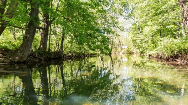 $54,950 | Lot 9 Rebel Ridge Drive, New Castle, VA 24127