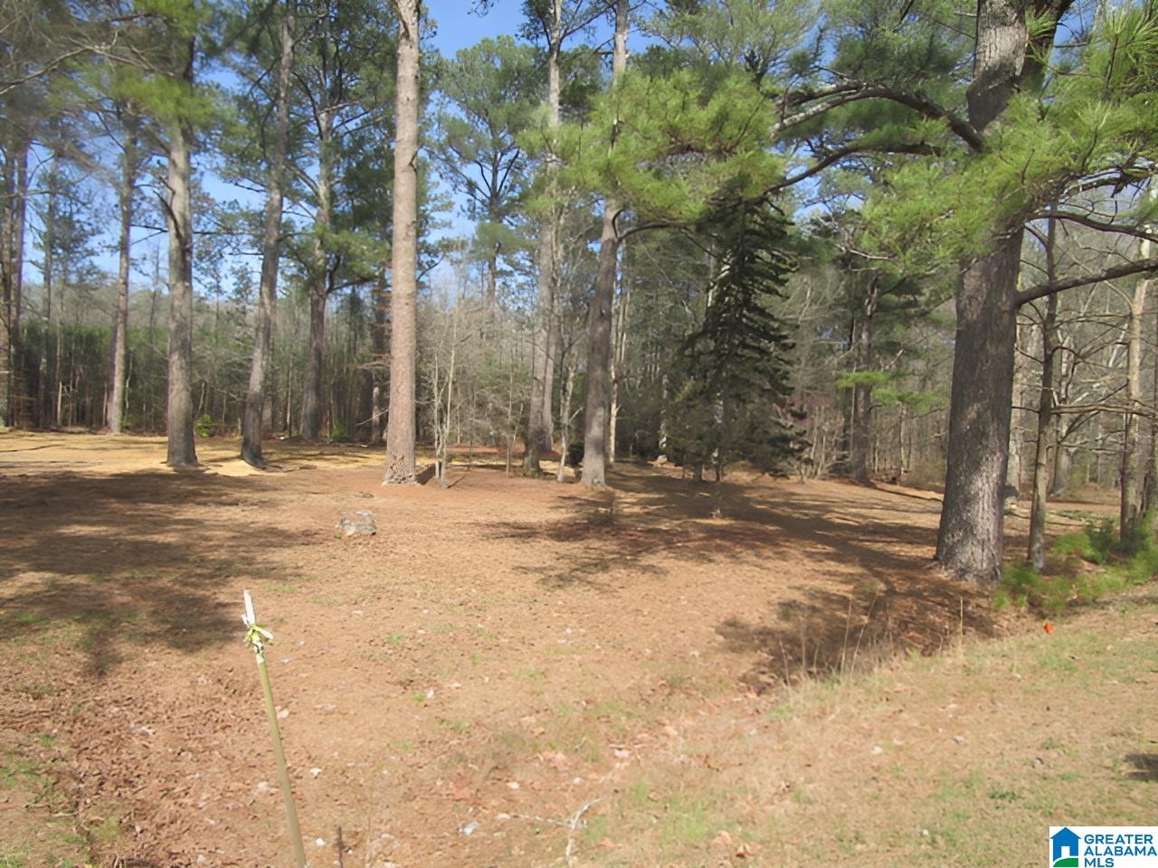 4429 Roy Webb Road Jacksonville, AL 36265 - Photo 4 of 26