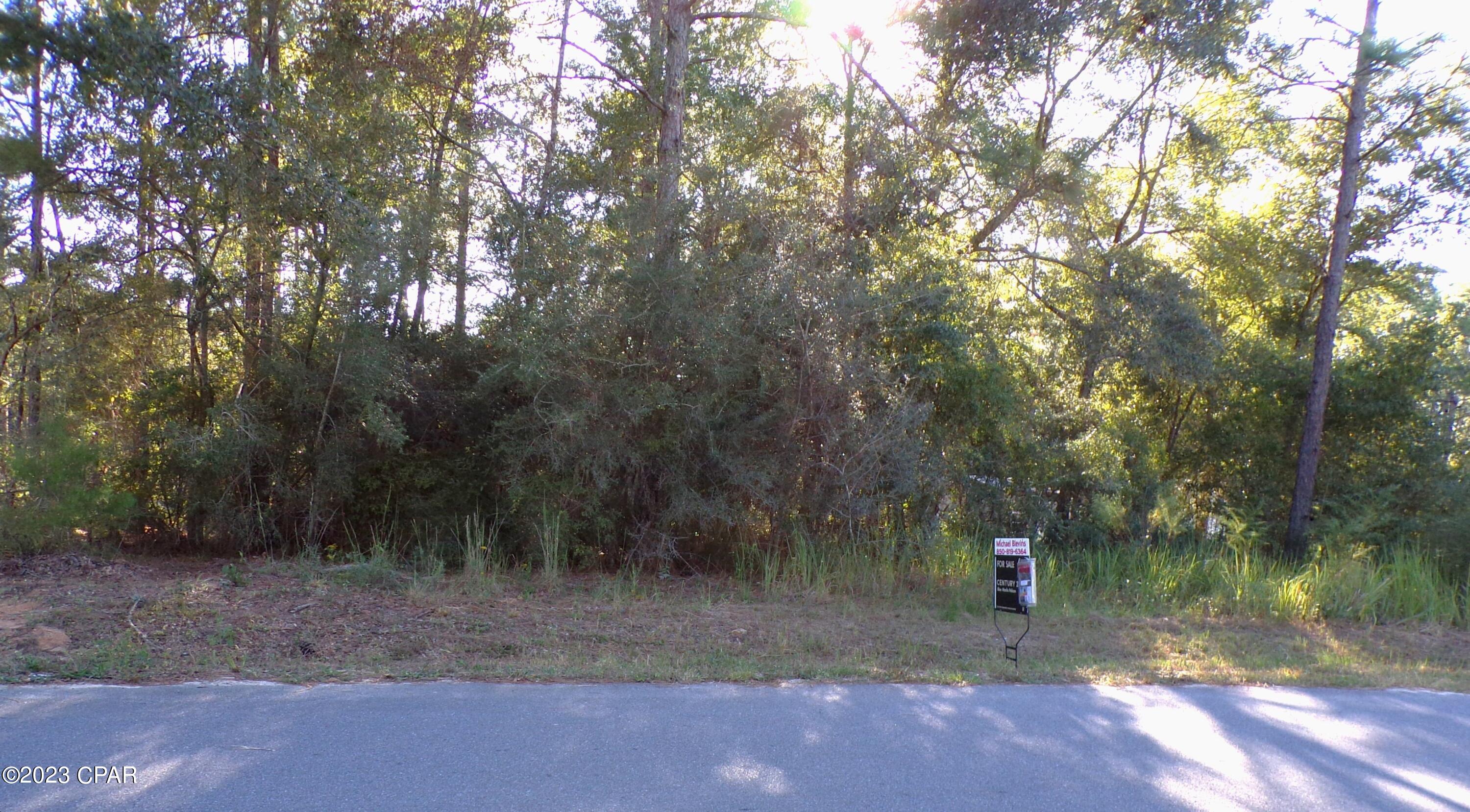 Tbd Howlin Road DeFuniak Springs, FL 32433 - Photo 4 of 4 Gallery Image 4