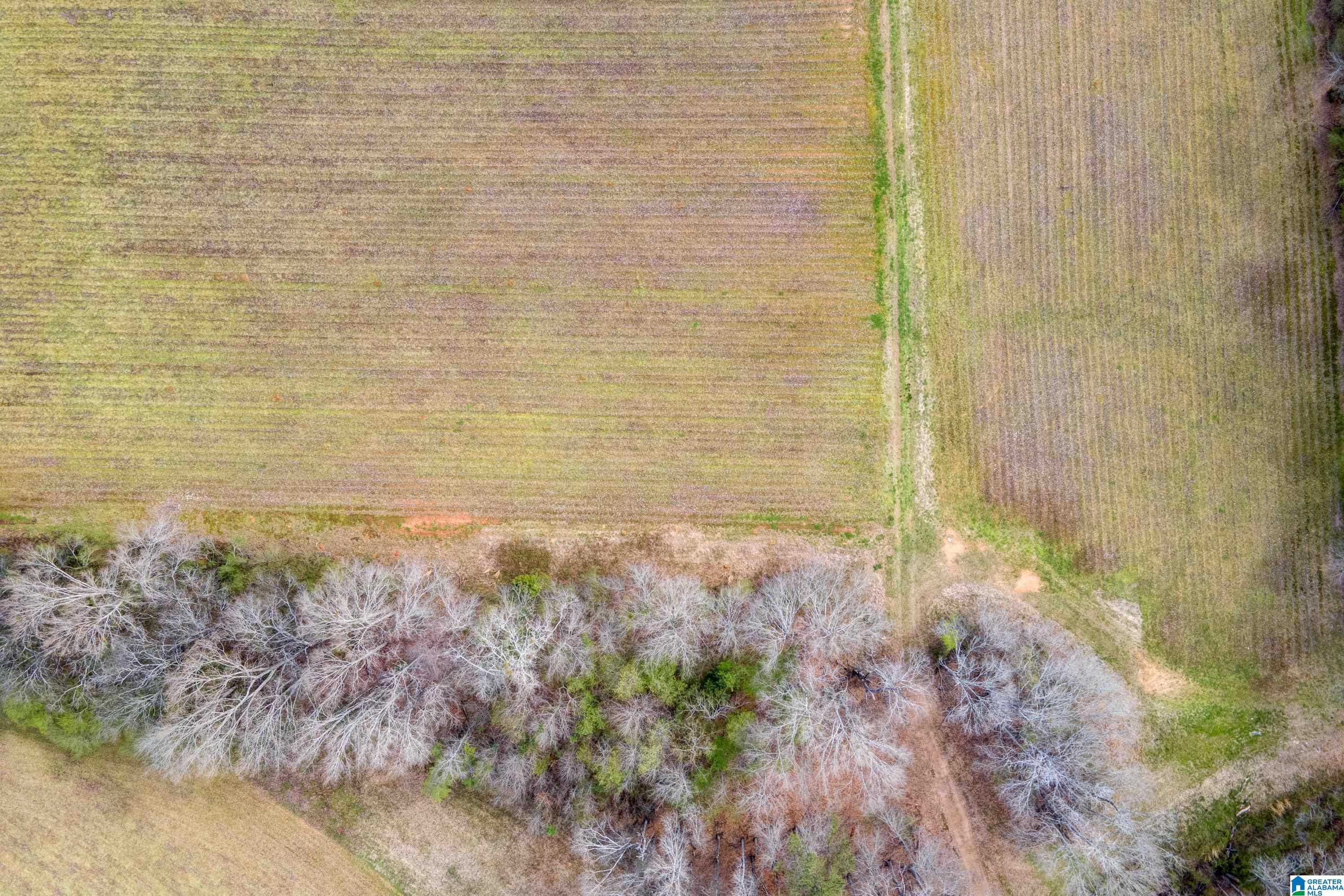Bates Road, Unit 100 Vincent, AL 35178 - Photo 17 of 29