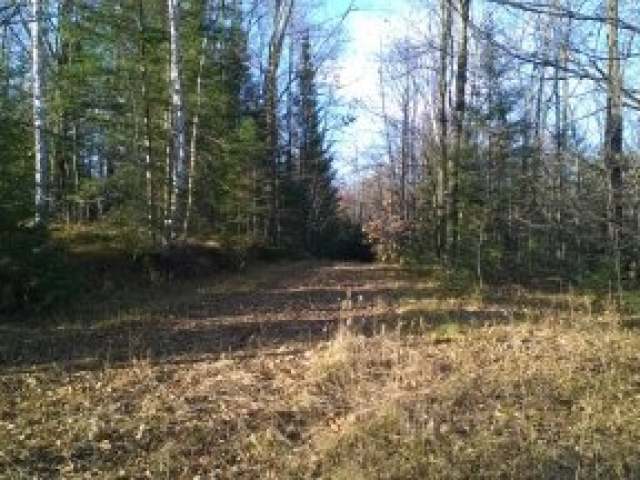 Hill-prentice Prentice Road Ogema, WI 54459 - Photo 12 of 20 Gallery Image 12