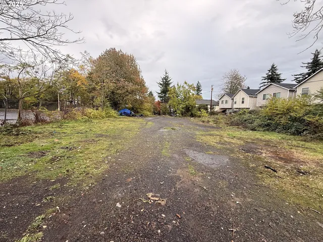 a view of a yard with an tree