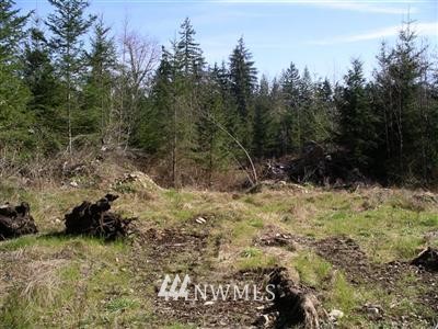 1 North Hidden Valley Road Granite Falls, WA 98252 - Photo 1 of 1 Gallery Image 1