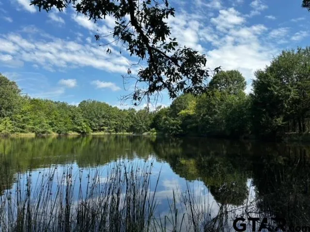 $437,520 | 306 Private Road 8507, Van, TX 75790