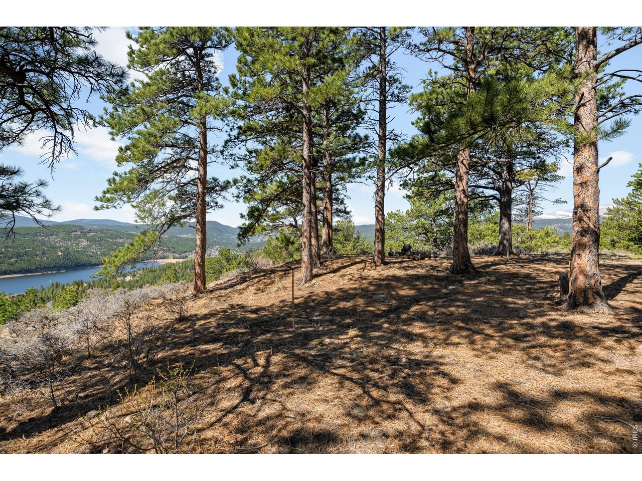 1182 Ridge Road Nederland, CO 80466 - Photo 6 of 24 Gallery Image 6