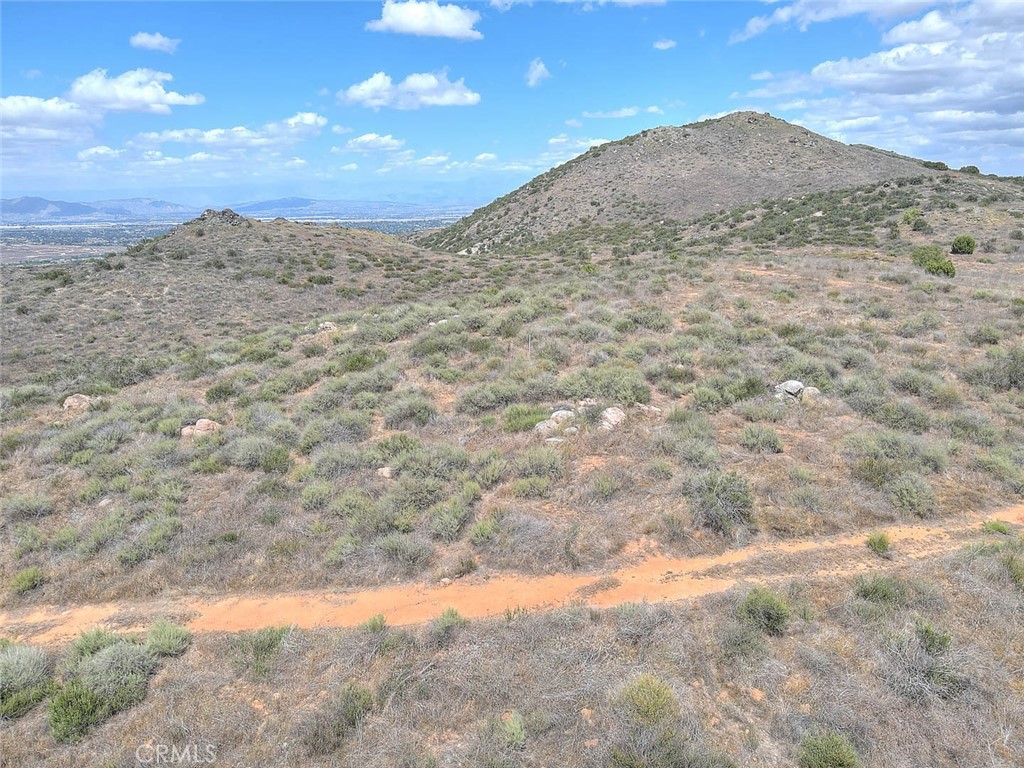 a view of a dry yard