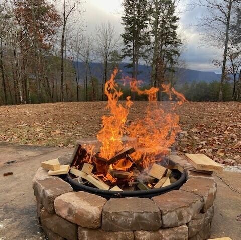 978 Press Pickett Road Whitwell, TN 37397 - Photo 16 of 36 Gallery Image 16