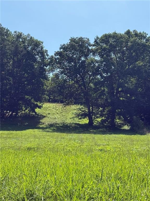 1206 Thompson Road Dawsonville, GA 30534 - Photo 17 of 28