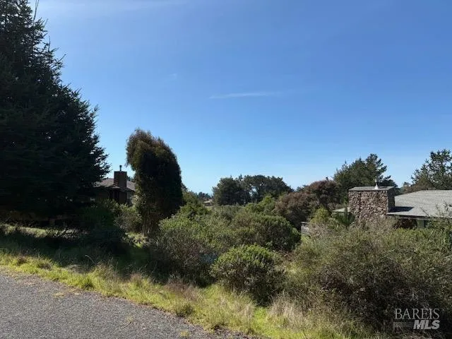 a view of a lake from a yard
