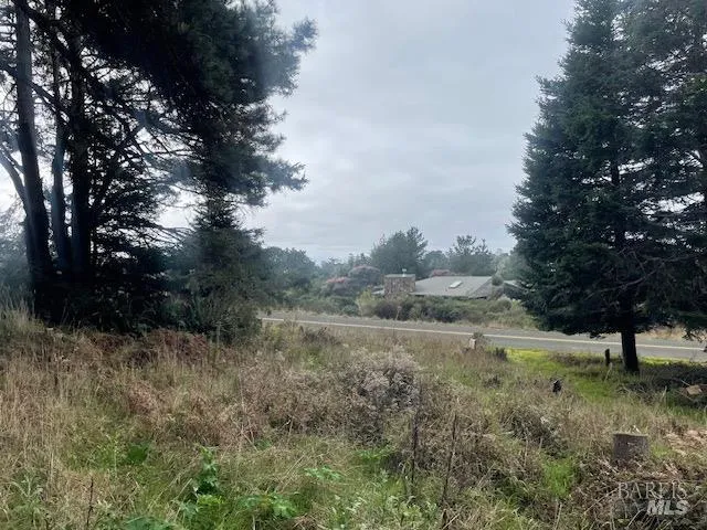 a view of outdoor space with green field and trees