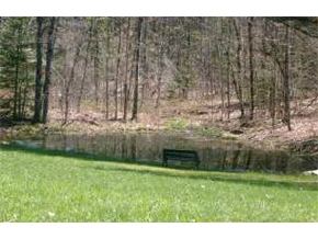 143 Burpee Hill Road Grantham, NH 03753 - Photo 5 of 5 Gallery Image 5
