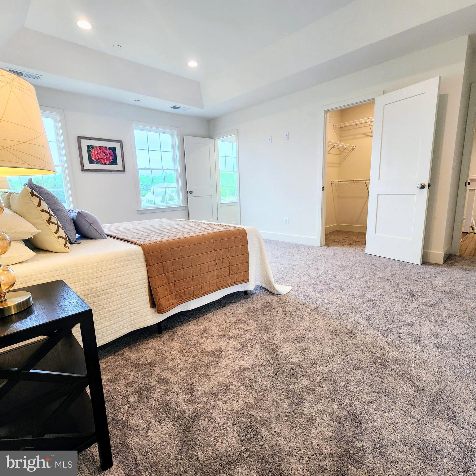 24730 Tribbett Circle Ridgely, MD 21660 - Photo 26 of 54 Tray Ceiling