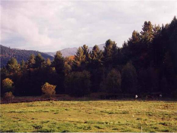 Lot 2 Herb Starck Road Moretown, VT 05660 - Photo 1 of 1 Gallery Image 1