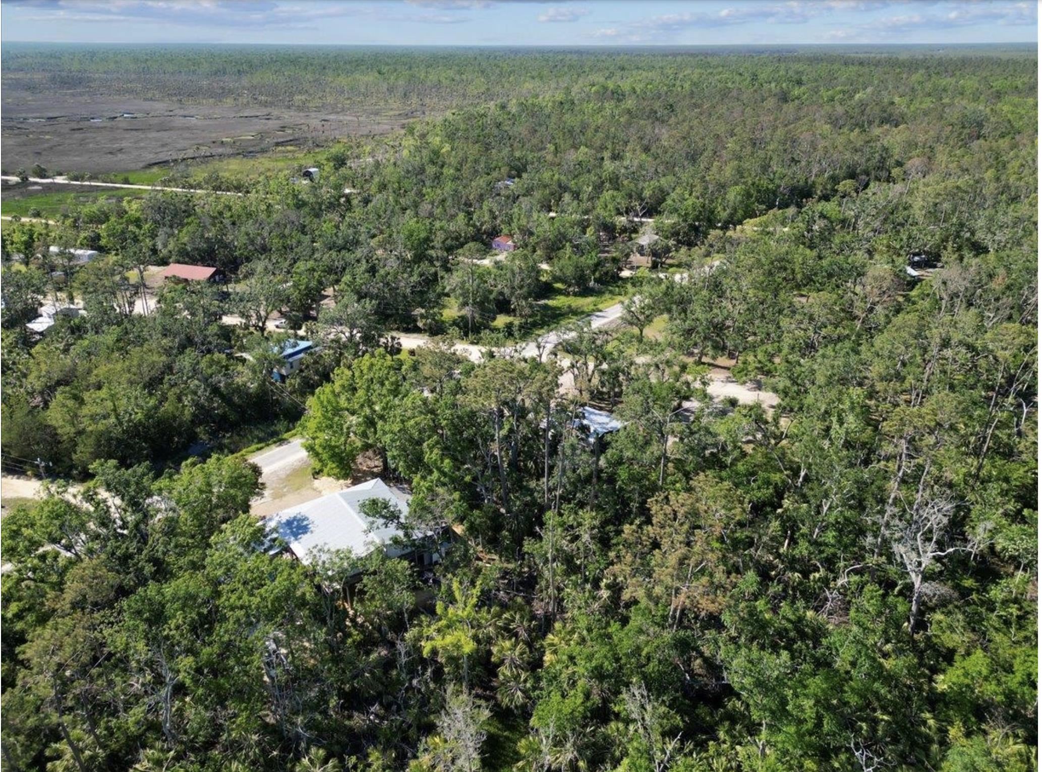 13878 Spring Warrior Road Perry, FL 32348 - Photo 8 of 20 Gallery Image 8