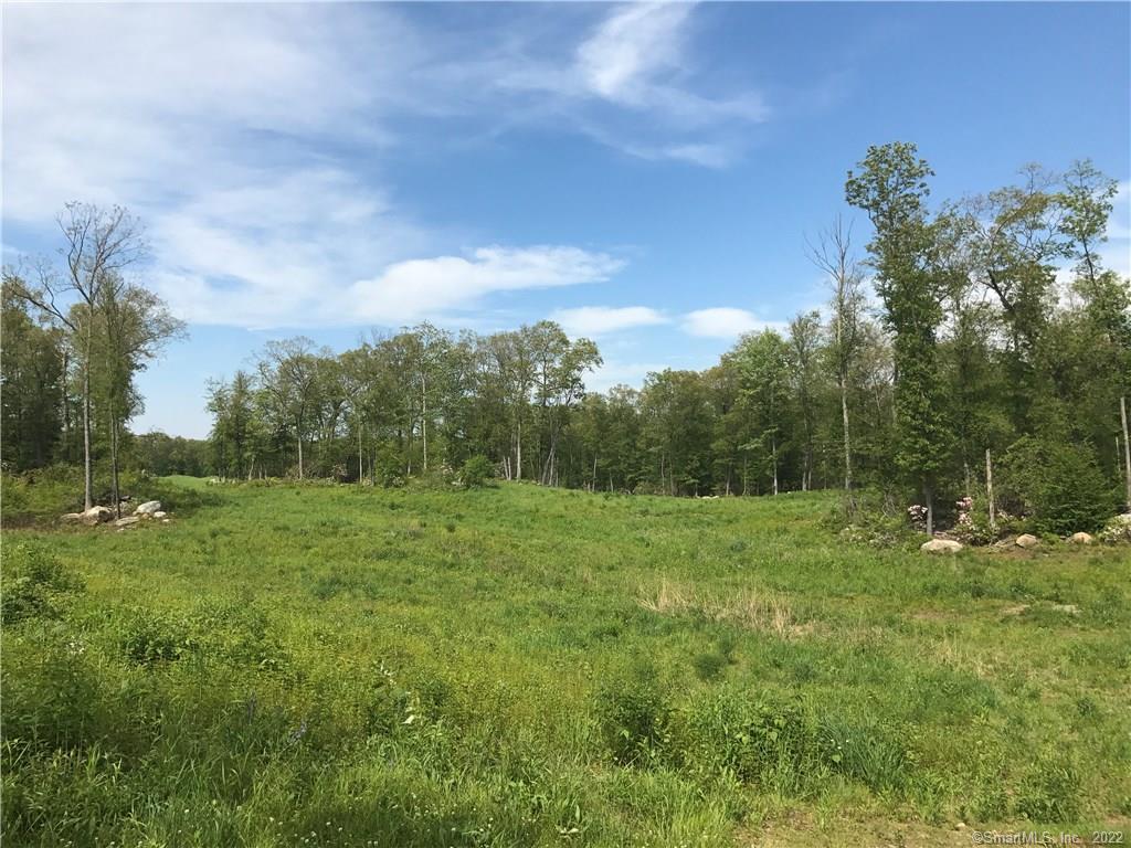 Tbd Plains Road, Unit LOT 2 Haddam, CT 06438 - Photo 1 of 1 a view of an outdoor space and a yard