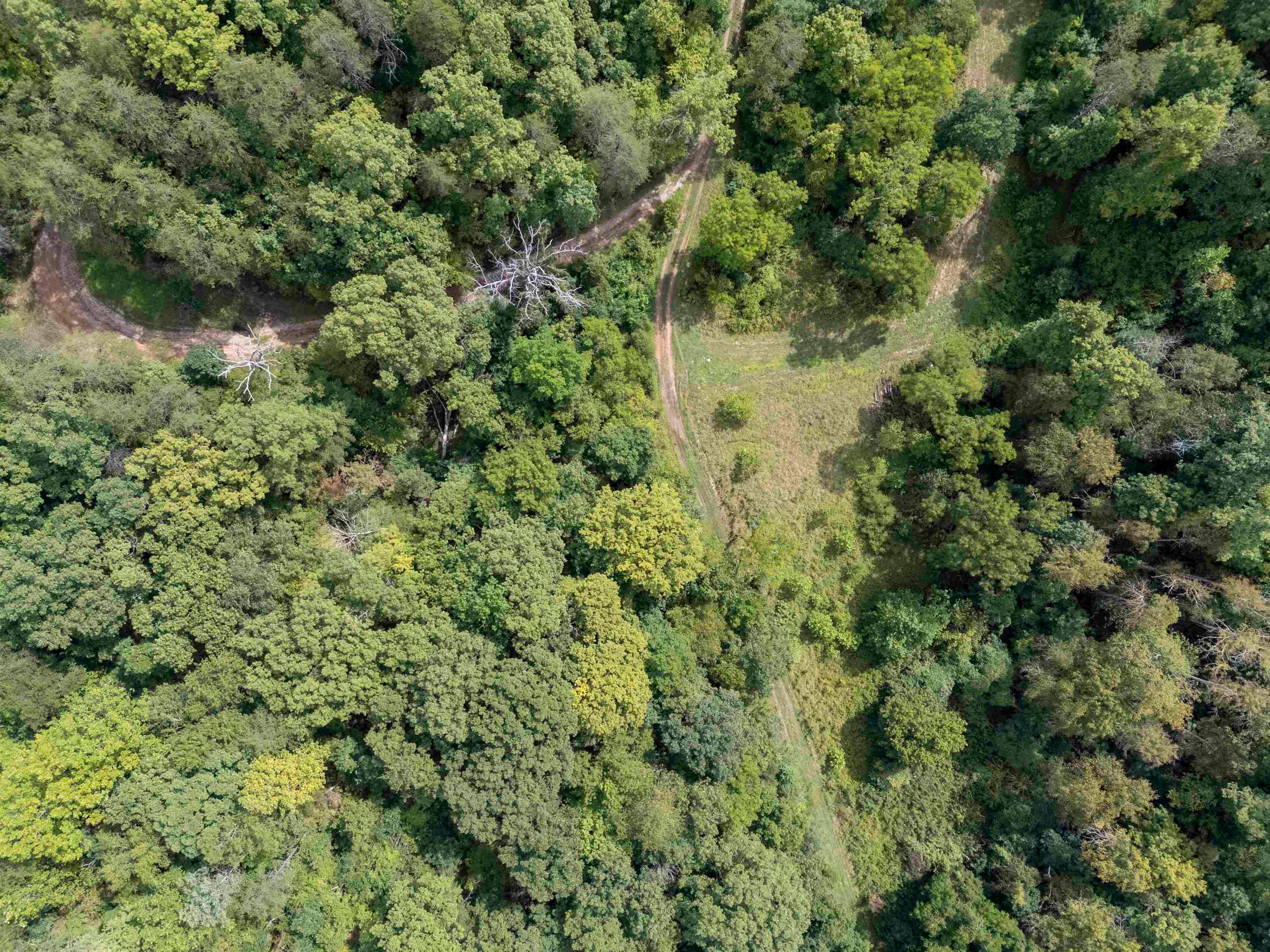 1 Raccoon Creek Road Branchland, WV 25506 - Photo 16 of 16 Gallery Image 16