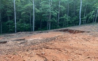Lt155 Laurel Circle Blue Ridge, GA 30513 - Photo 6 of 7 a view of a forest with trees