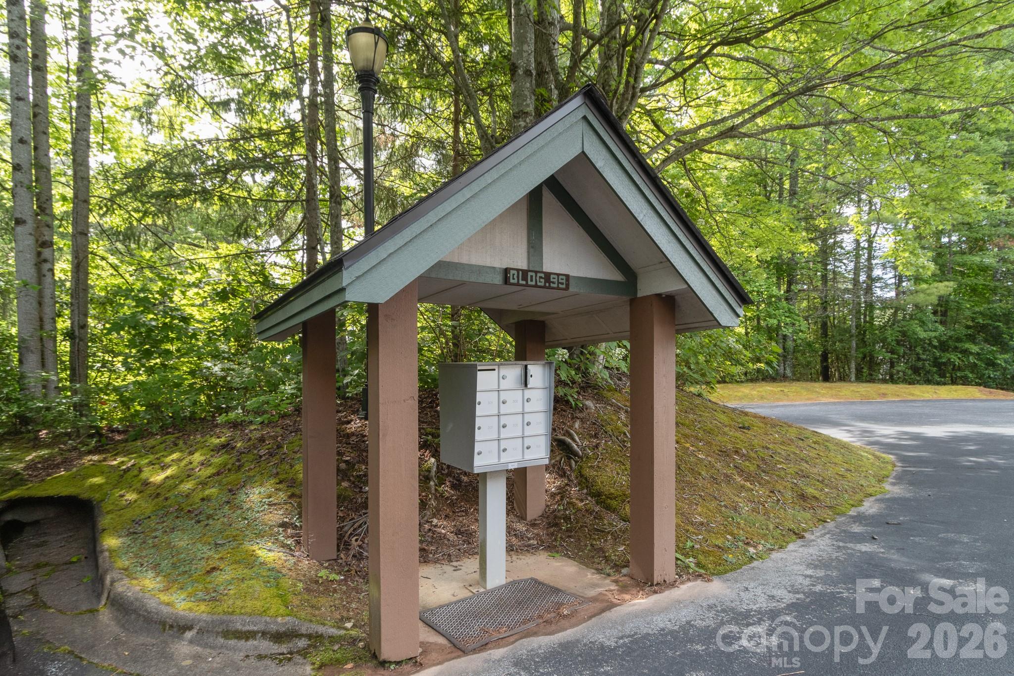 99 Ridgetop Circle, Unit 202 Brevard, NC 28712 - Photo 8 of 48