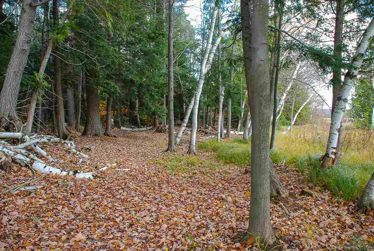 Strickland Road Grawn, MI 49637 - Photo 13 of 27 1872391-12.JPG