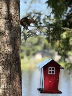 136 Holbrook Road Holden, ME 04429 - Photo 29 of 29 IMG_4237